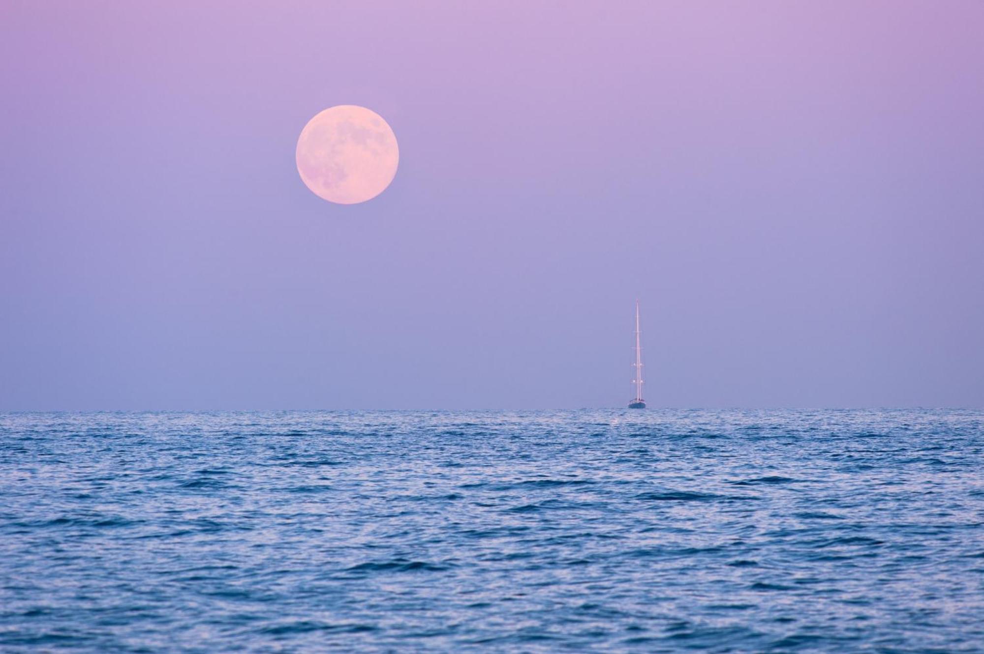 Front De Mer Golfe De Saint-Tropez سانت ماكسيم المظهر الخارجي الصورة